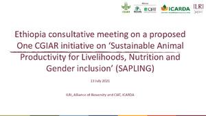 Notes from an Ethiopia virtual stakeholder consultation on a proposed One CGIAR initiative on Sustainable Animal Productivity for Livelihoods, Nutrition and Gender inclusion, 13 July 2021