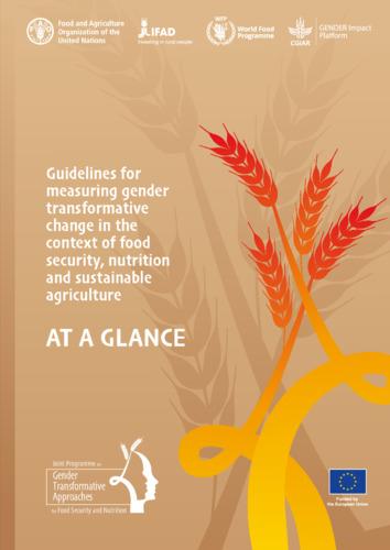 Guidelines for measuring gender transformative change in the context of food security, nutrition and sustainable agriculture: At a glance