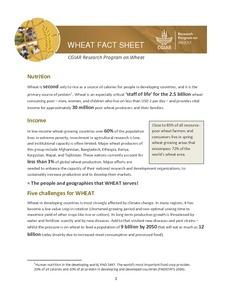 WHEAT - Concept Note for Discussion with Donors and Partners - June 2013 (Factsheet)