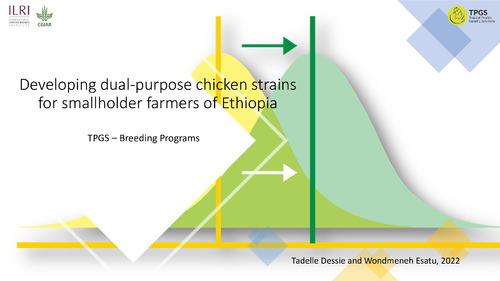 Developing dual-purpose chicken strains for smallholder farmers of Ethiopia. TPGS–Breeding Programs