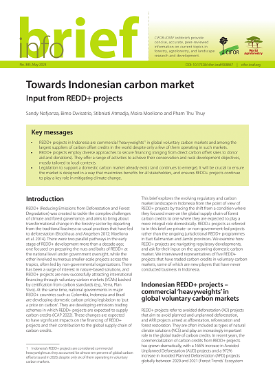 Towards Indonesian carbon market: Input from REDD+ projects