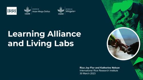 Learning alliances for living labs in Can Tho