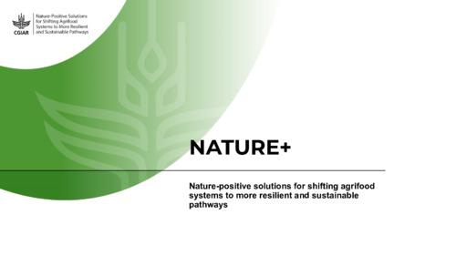Gender-responsive nature-positive solutions for resilient agri-food systems