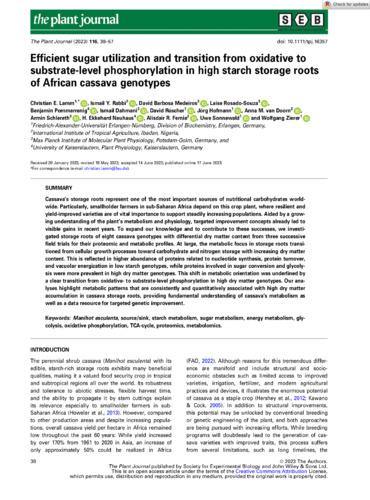 Efficient sugar utilization and transition from oxidative to substrate-level phosphorylation in high starch storage roots of African cassava genotypes