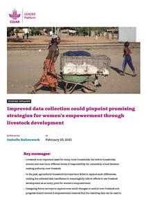 Improved data collection could pinpoint promising strategies for women’s empowerment through livestock development.