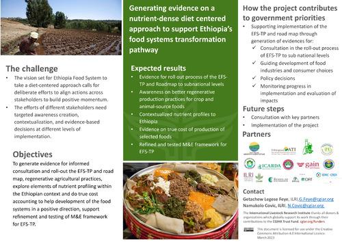 Generating evidence on a nutrient-dense diet centered approach to support Ethipia’s food systems transformation pathway
