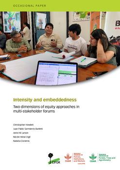 Intensity and embeddedness: Two dimensions of equity approaches in multi-stakeholder forums
