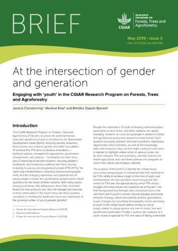 At the intersection of gender and generation: Engaging with 'youth' in the CGIAR Research Program on Forests, Trees and Agroforestry