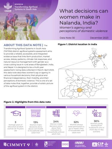 What decisions can women make in Nalanda, India? Women’s agency and perceptions of domestic violence