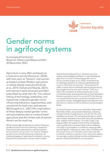Gender norms in agrifood systems: A conceptual framework