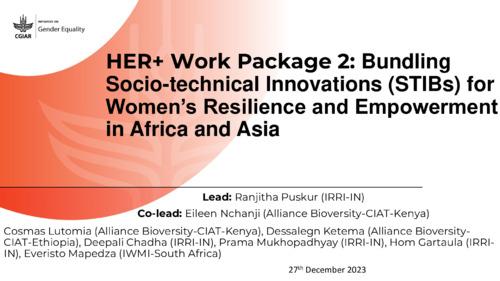 HER+ work package 2: Bundling Socio-technical Innovations (STIBs) for women’s resilience and empowerment in Africa and Asia