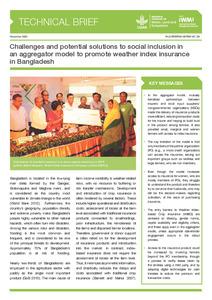 Challenges and potential solutions to social inclusion in an aggregator model to promote weather index insurance in Bangladesh