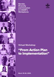 Gender, Diversity and Inclusion in CGIAR’s Workplaces: Virtual Workshop “From Action Plan to Implementation”