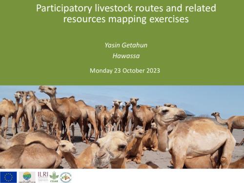 Participatory livestock routes and related resources mapping exercises