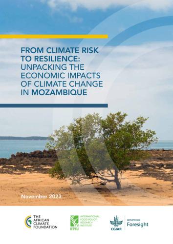 From climate risk to resilience: Unpacking the economic impacts of climate change in Mozambique