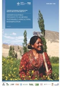 Gender-equitable pathways to achieving sustainable agricultural intensification