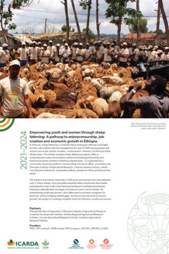 Empowering youth and women through sheep fattening: A pathway to entrepreneurship, job creation and economic growth in Ethiopia, 2021–2024