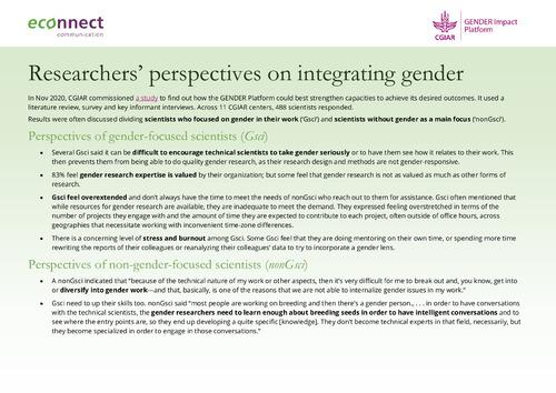 Researchers' perspectives on integrating gender
