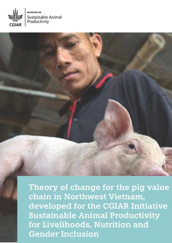 Theory of change for the pig value chain in Northwest Vietnam, developed for the CGIAR Initiative Sustainable Animal Productivity for Livelihoods, Nutrition and Gender Inclusion