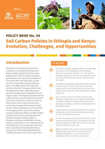 Soil carbon policies in Ethiopia and Kenya: evolution, challenges, and opportunities