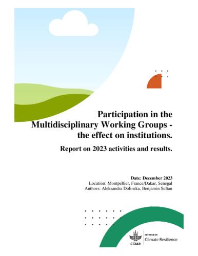 Participation in the multidisciplinary Work Groups - the effects on instituitions