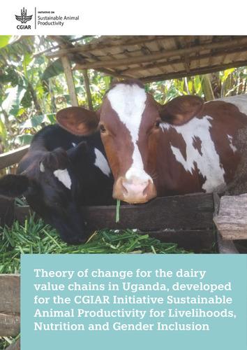 Theory of change for the dairy value chain in Uganda, developed for the CGIAR Initiative Sustainable Animal Productivity for Livelihoods, Nutrition and Gender Inclusion