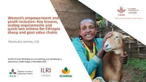 Women's empowerment and youth inclusion: Key lessons, scaling requirements and quick-win actions for Ethiopia sheep and goat value chains