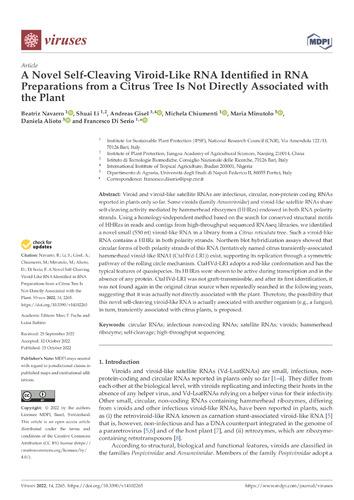 A novel self-cleaving viroid-like RNA identified in RNA preparations from a citrus tree is not directly associated with the plant