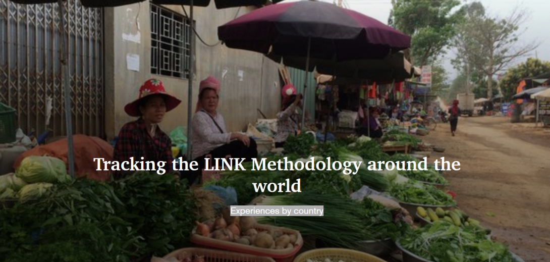 Tracking the Link Methodology around the world: Experiences by country