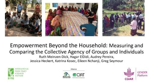 Empowerment Beyond the Household: Measuring and Comparing the Collective Agency of Groups and Individuals