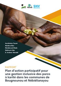 Plan d’action participatif pour une gestion inclusive des parcs à karité dans les communes de Bougnounou et Nébiélianayou