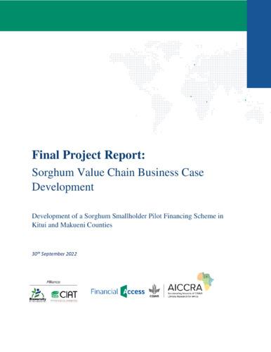 Sorghum Value Chain Business Case Development