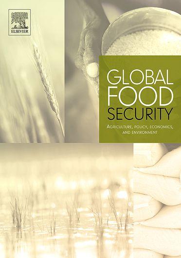 Climate-related hazards and Indian food supply: Assessing the risk using recent historical data