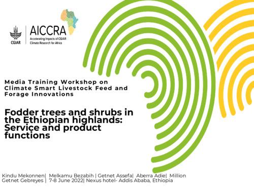 Fodder trees and shrubs in the Ethiopian highlands: Service and product functions