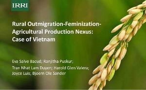 Rural outmigration-feminization-agricultural production nexus: Case of Vietnam