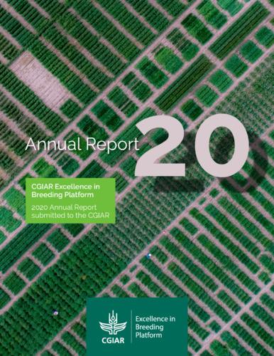 Annual report 2020: CGIAR Excellence in Breeding Platform