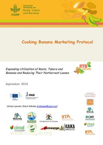 Cooking banana marketing protocol (English).
