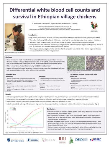 Differential white blood cell counts and survival in Ethiopian village chickens