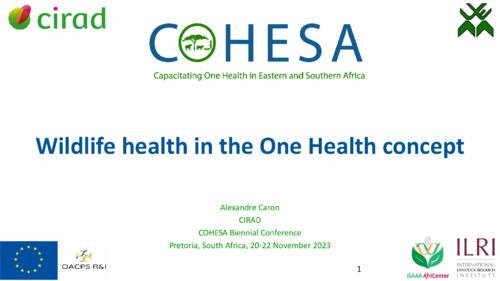 Wildlife health in the One Health concept