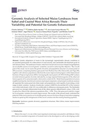 Genomic analysis of selected maize landraces from Sahel and Coastal west Africa reveals their variability and potential for genetic enhancement