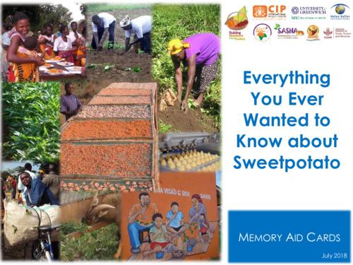 Everything you ever wanted to know about sweetpotato, Topic 8: Harvesting and post-harvest management