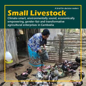 Small livestock: climate-smart, environmentally sound, economically empowering, gender-fair and transformative agricultural enterprises in Cambodia