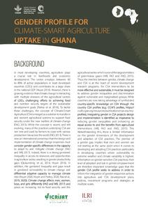 Gender profile of climate-smart agriculture in Ghana