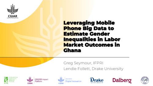 Leveraging Mobile  Phone Big Data to  Estimate Gender  Inequalities in Labor  Market Outcomes in Ghana