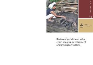 Review of gender and value chain analysis, development and evaluation toolkits