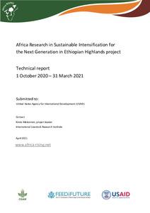 Africa Research in Sustainable Intensification for the Next Generation Ethiopian Highlands project, technical report, 1 October 2020 – 31 March 2021