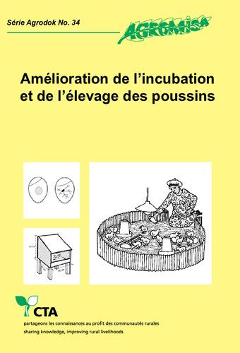 L’incubation des oeufs par les poules et en couveuse