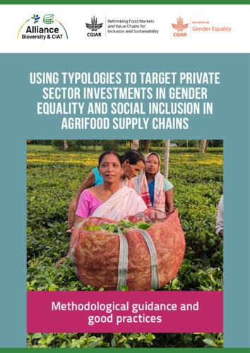 Using typologies to target private sector investments in gender equality and social inclusion in agrifood supply chains: Methodological guidance and good practices