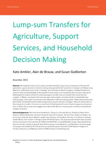 Lump-sum transfers for agriculture, support services, and household decision making
