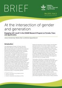 At the intersection of gender and generation: Engaging with 'youth' in the CGIAR Research Program on Forests, Trees and Agroforestry.